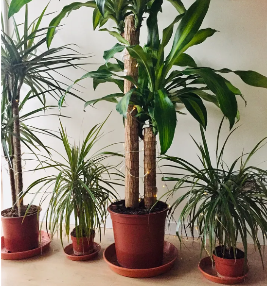 20 Tips To Take Care Of Your Home