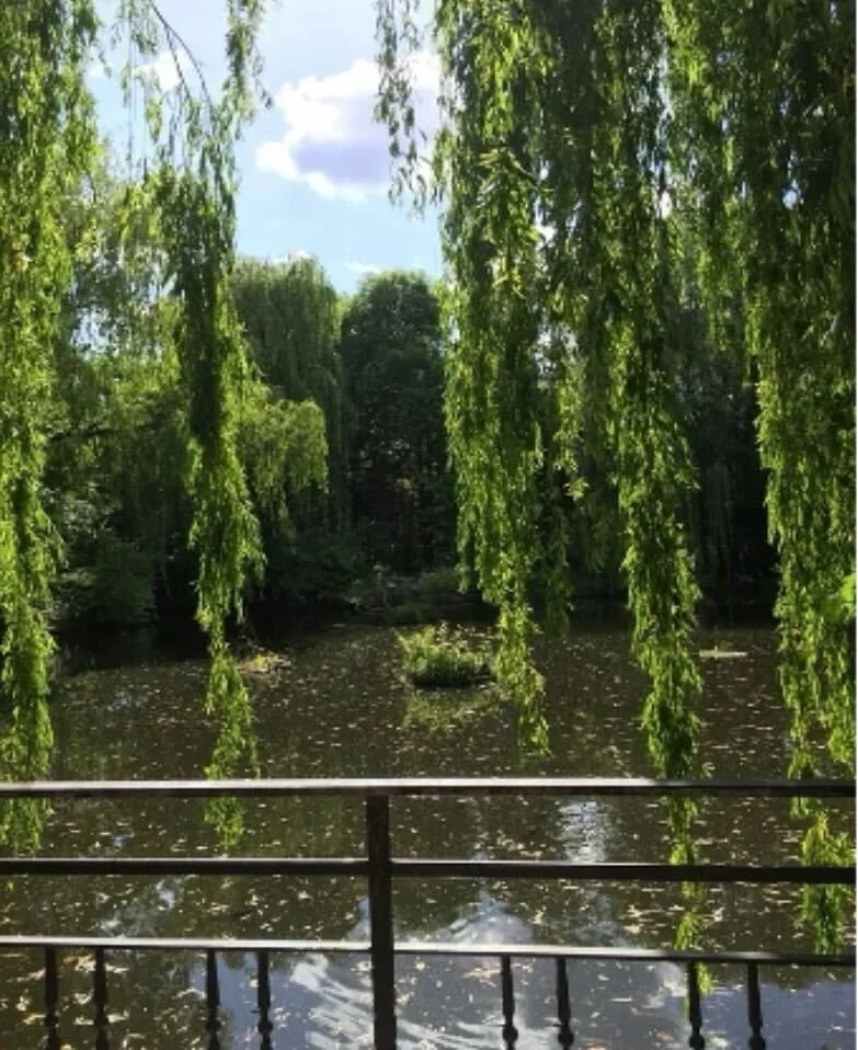                           I Appreciate Nature More When The Encounters Are Less 