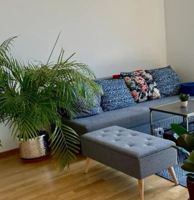                                       The Same couch feels new with the new set up  