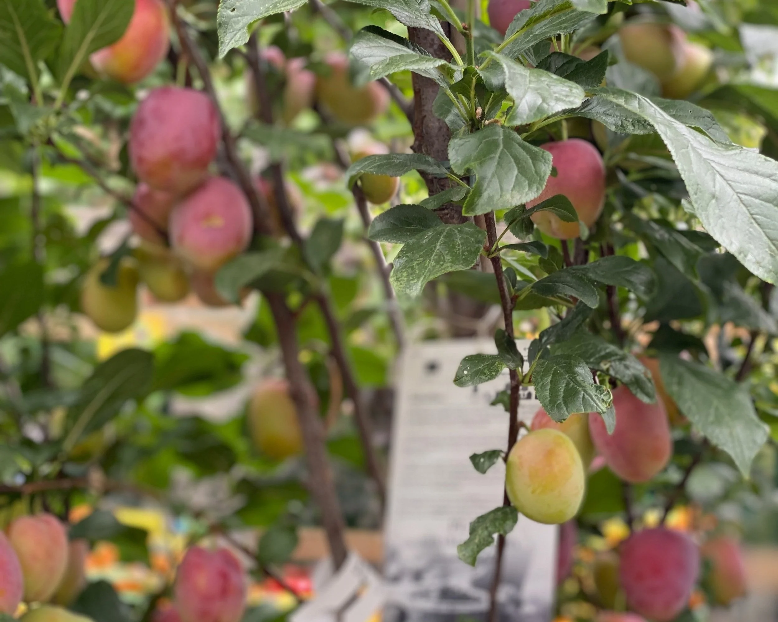  Having supportive friends keeps you in touch with your true potential 