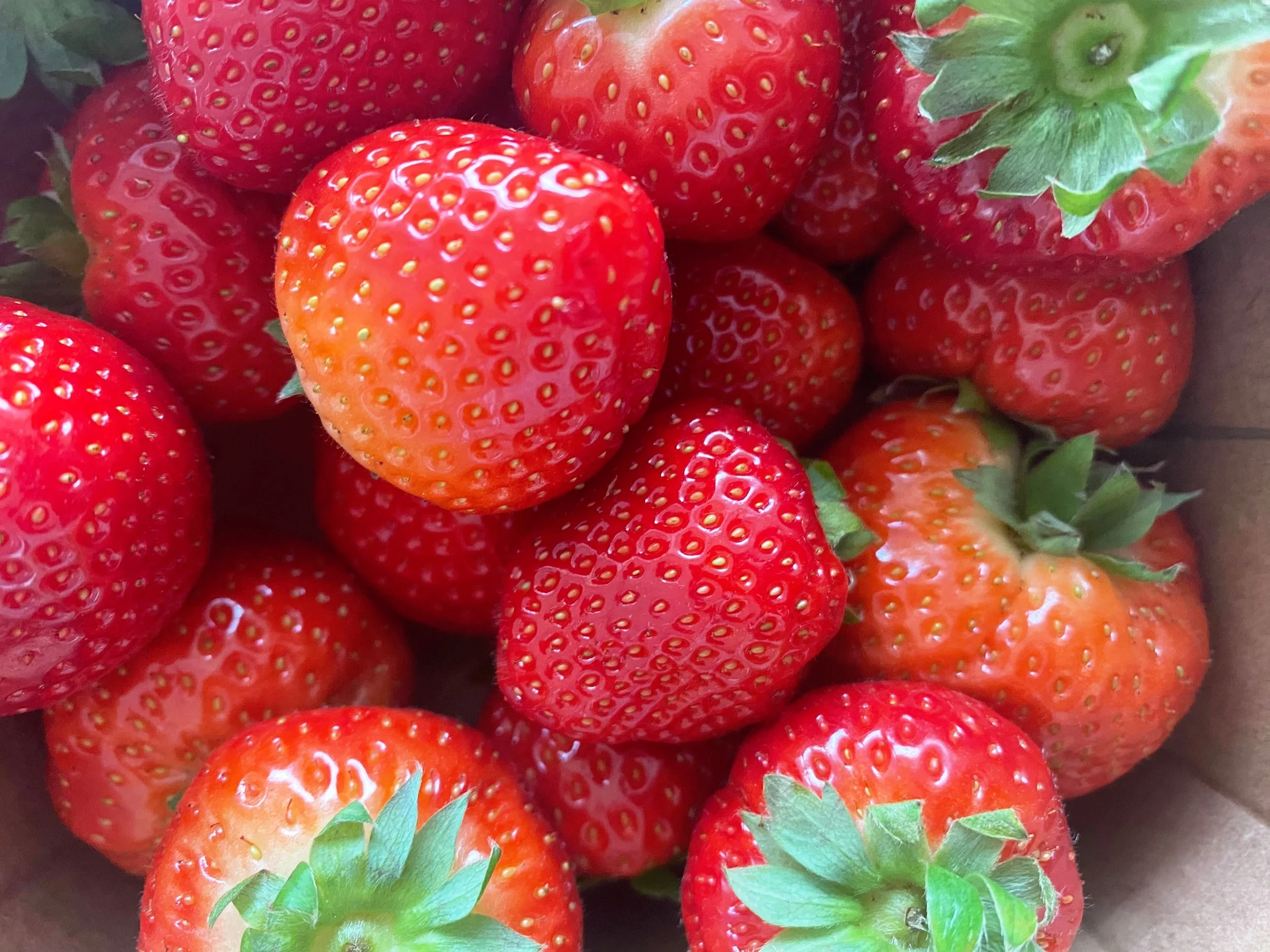  Fresh fruits and vegetables are a nutritious boost to every meal 