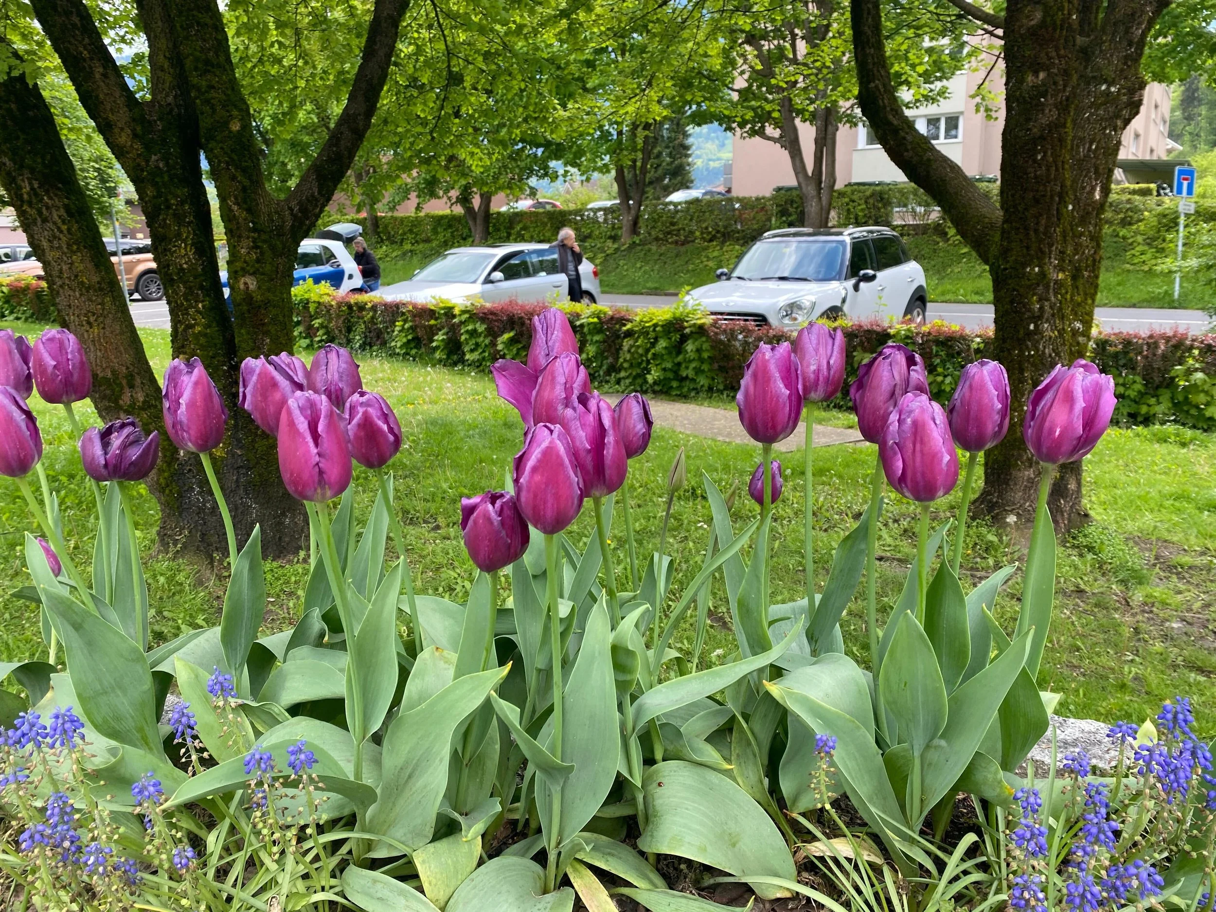  Embracing the beauty of nature 