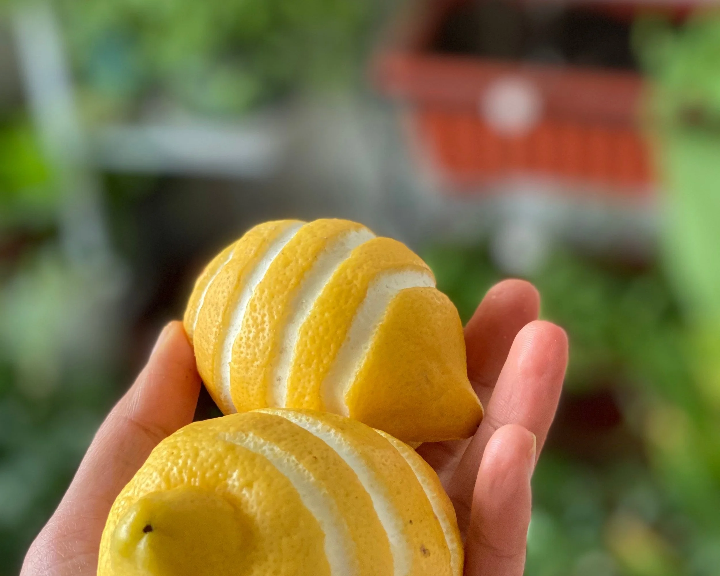  When life gives you lemons, use the zest to style your food. 
