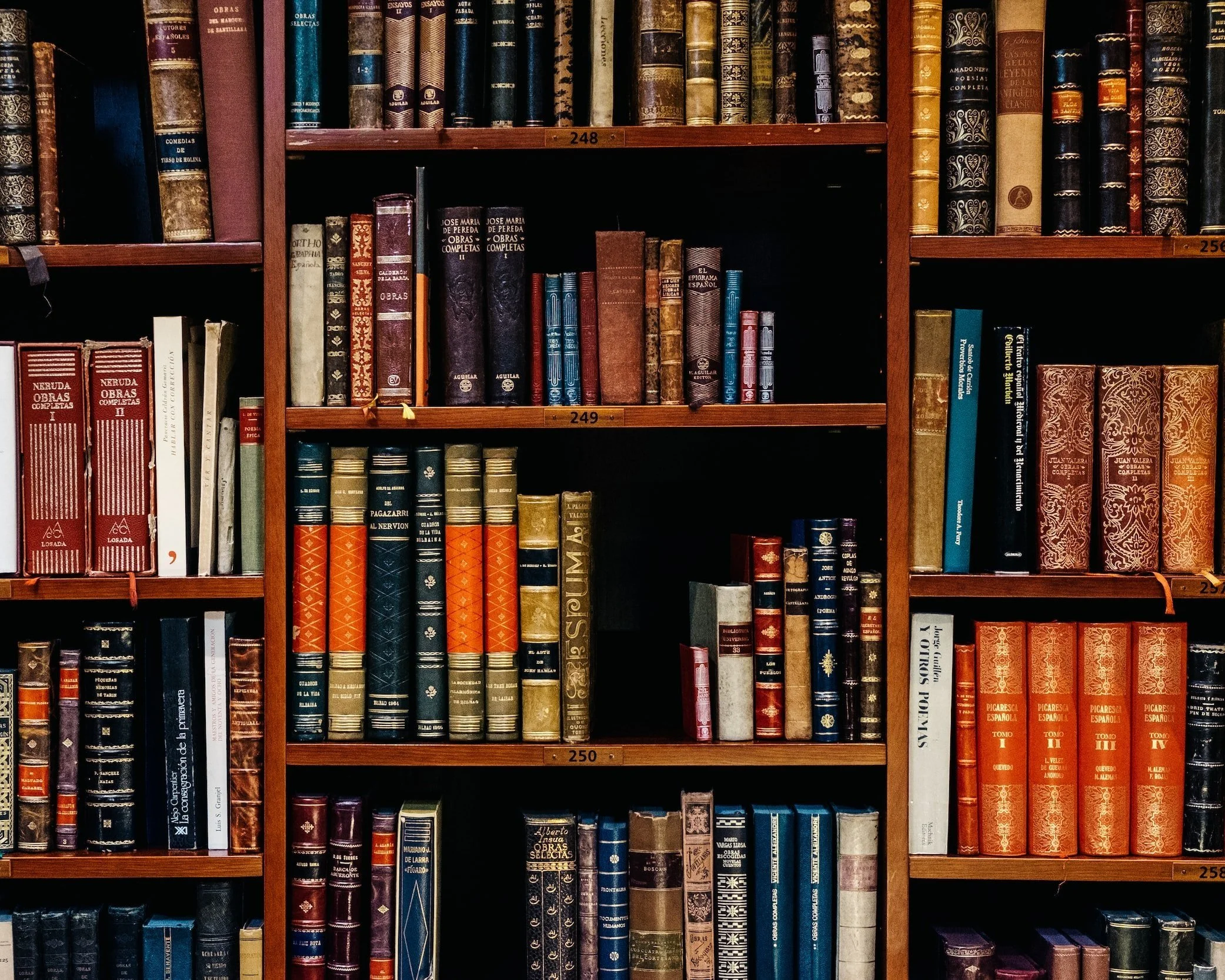  Books are truly our best friends 