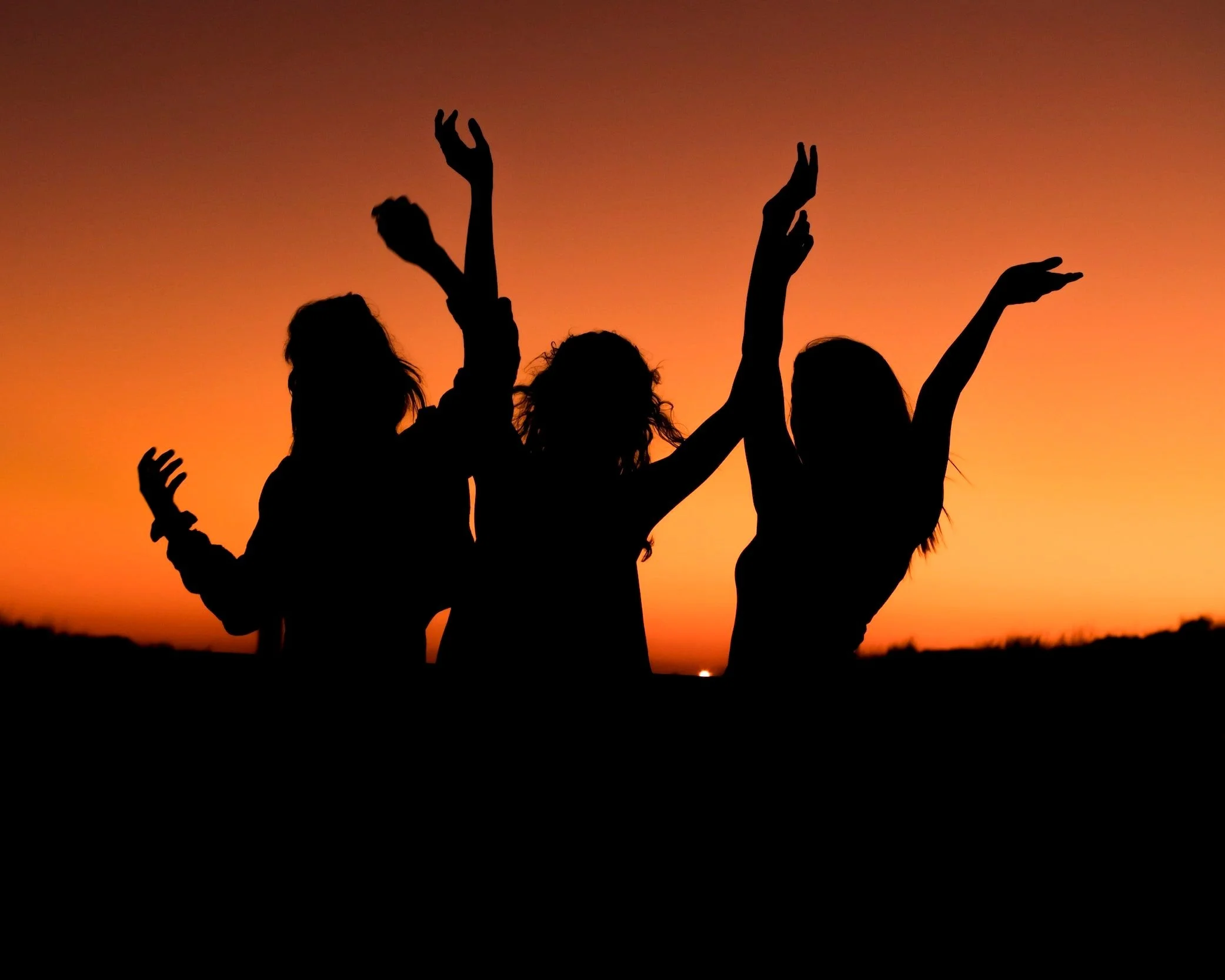  We sort everything for you so you can have the maximum fun 